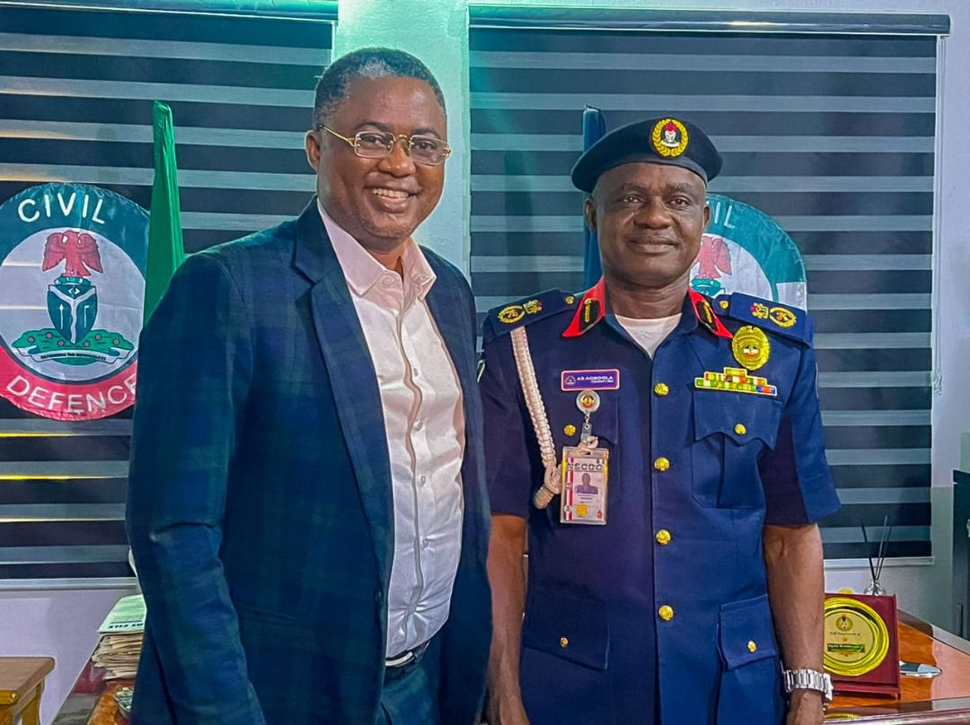 Energy theft, vandalism responsible for poor power supply, says IBEDC 1 NSCDC