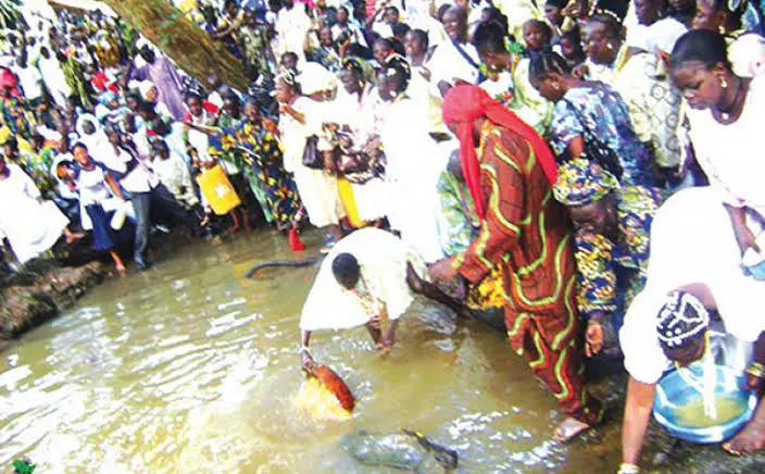 Osun-Osogbo festival: Devotees drink from Osun River despite warning 8 Osun Osogbo Festival 1