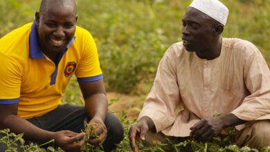 Stakeholders endorse AfDB's country strategy, urge greater engagement with Diaspora 3 indorama fertilizer 1500 0