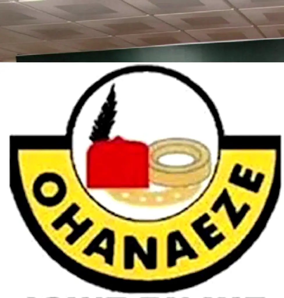 ohaneze logo 977x1024 1