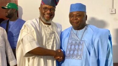 Ogun: That PDP/APM power-sharing deal 3 Akinlade Adebutu