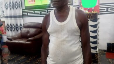 Police arrest 84 years old for raping 8-year old minor in Ogun 12 Rapist 1