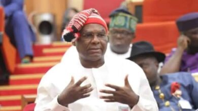 The Igbo dilemma in Nigeria's current political dispensation, By Chimaroke Nnamani 4 images 7
