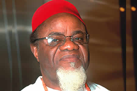 Why I went to Shetima, By Chukwuemeka Ezeife 1 images