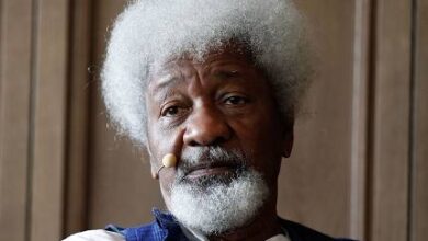 Soyinka, Pyrates Confraternity and the God Factor, By Tunji Olaopa 3 licensed image