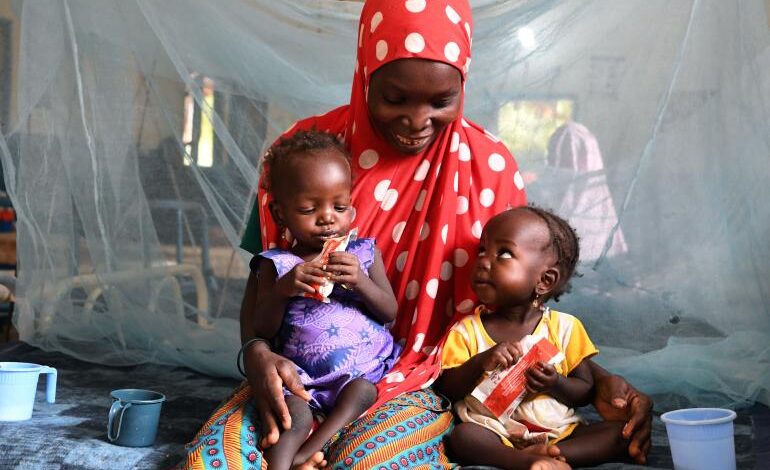 Over $500m pledged to tackle deepening child malnutrition crisis 1 niger