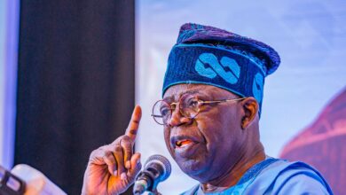 Tinubu: From an empty well to a green garden, By Uche Nnadozie 4 IMG 20221022 WA0005