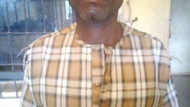 Police nab 51-year old man for beating wife to death in Ogun 14 Killer