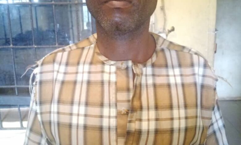 Police nab 51-year old man for beating wife to death in Ogun 1 Killer