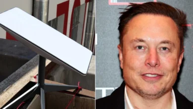 Musk