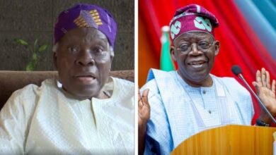 Tinubu seeking personal interest in quest for presidency - Prof Akintoye 8 images 34