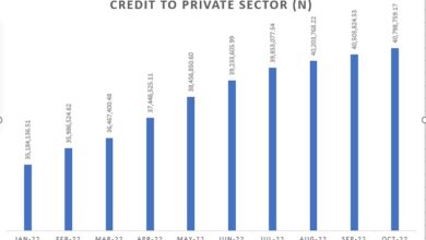 Credit to private sector adds N5.6trn YtD, increases to N40.8trn in October 2 A