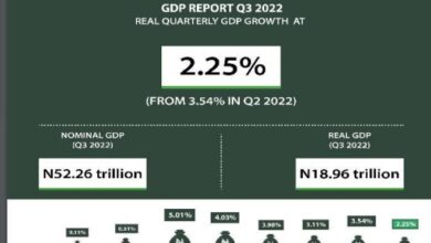 Nigeria’s GDP growth slows to 2.25% in Q3 2022, says NBS 4 GDP