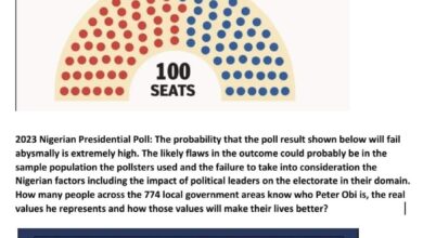 Futility in bogus polls, By Olabode Opeseitan 9 IMG 20221114 WA0008