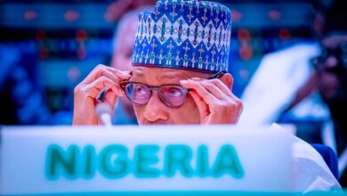 Africa's educational system must gravitate towards STEM to achieve industrialisation by 2030 - Buhari 3 IMG 20221125 WA0015