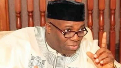 Okupe, Obi's campaign DG bags 2-year jail-term 10 116627712 okupe2 jpg