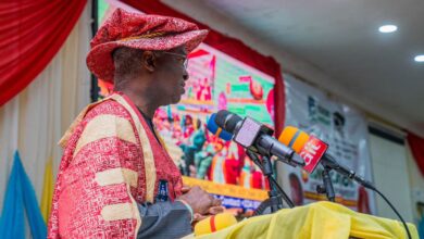 Mind, mindset and state of mind, By Babatunde Raji Fashola 10 IMG 20221205 WA0007