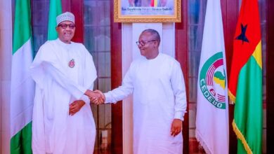 Buhari and the defence of democracy in Africa, By Garba Shehu 3 IMG 20221208 WA0001