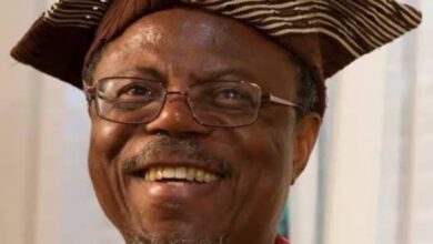 Is the diaspora now about rubbishing those at home? By Professor Toyin Falola 9 IMG 20221231 WA0001
