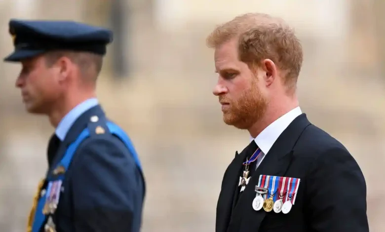 Prince Harry details physical attack by brother William in new book 1 3500