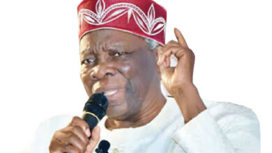 Banji Akintoye back as leader of Ilana Omo Oodua 5 Akintoye