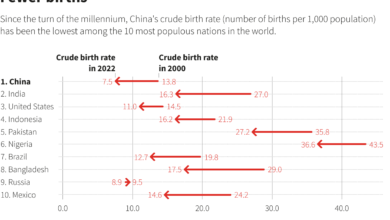 China set for historic demographic turn, accelerated by COVID traumas 8 chart