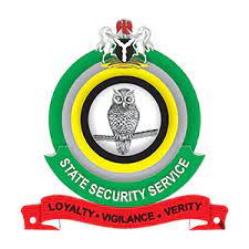 Plot to install Interim Government is real, says DSS 1 DSS