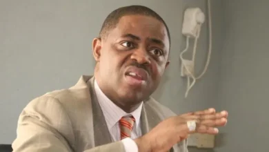 When rebellion is a virtue, By Femi Fani-Kayode 6 Femi Fani Kayode