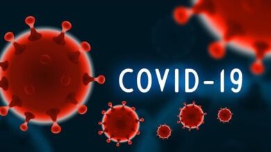 Collapse & recovery: How COVID-19 eroded human capital and what to do about It 3 covid