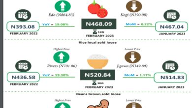 Average price of 1kg rice increased by 19.30% to N520.84 in February, says NBS 7 1a