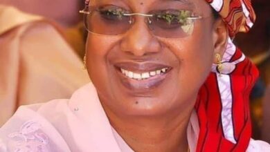 The Aishatu Binani’s twaddle, By Yemi Adebowale 3 Binani