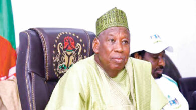 Establish Livestock Reforms and Development Authority to address farmers, herders crisis Ganduje urges Tinubu 6 GANDUJE