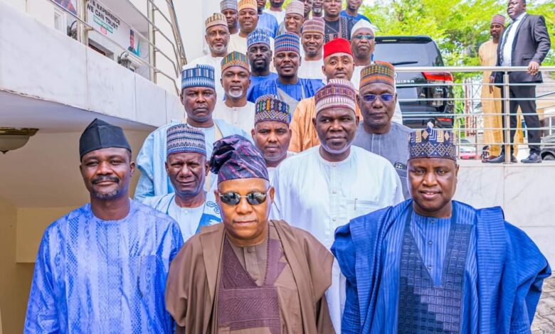 We'll work with legislature to strengthen Nigeria's democracy - Shettima 1 IMG 20230328 WA0017