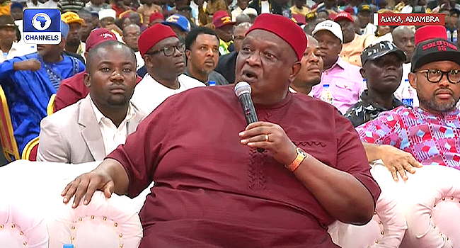 Ohanaeze has nothing against Tinubu as president, says Iwuanyanwu 1 Iwuanyanwu