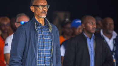 Britain's Sunak discusses migration partnership with Rwanda's Kagame 5 image
