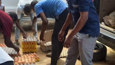 LASG bails out poultry farmers as egg glut threatens sector 6 IMG 20230411 WA0021