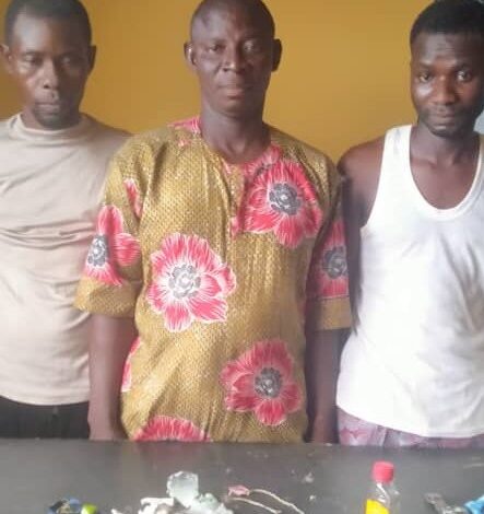 Police arrest three suspected land grabbers in Ogun 1 Land grabbers