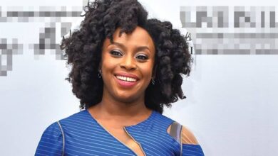 Chimamanda: Nigeria's positively growing democracy, By Dele Alake 6 images 100