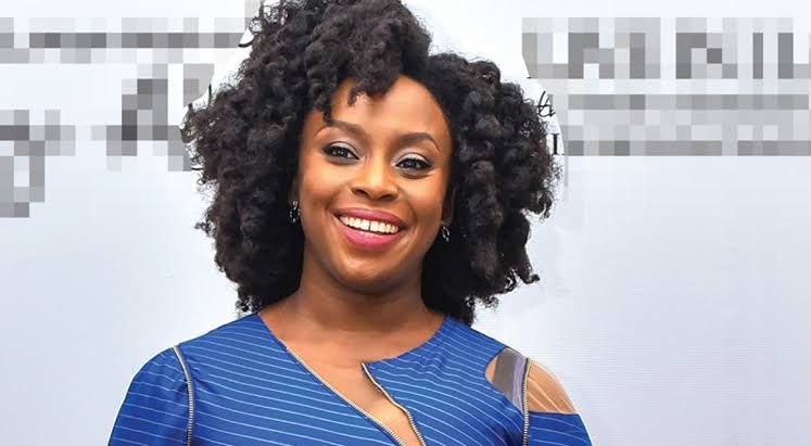Chimamanda: Nigeria's positively growing democracy, By Dele Alake 1 images 100