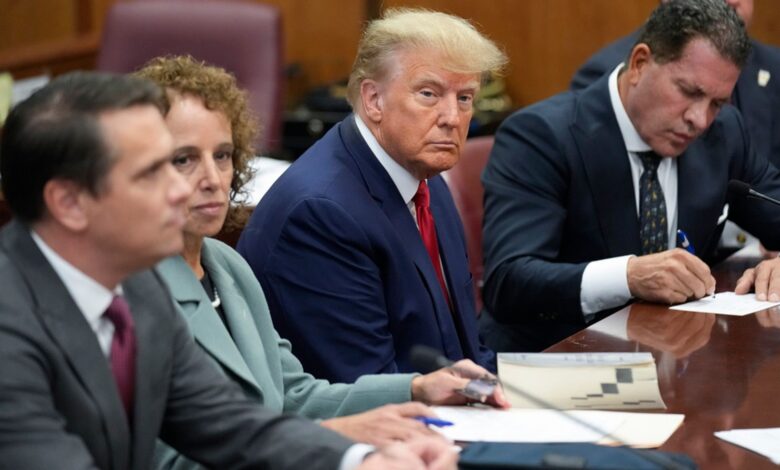 Trump arrested, pleads not guilty to 34 felony counts 1 skynews trump nyc 6110990