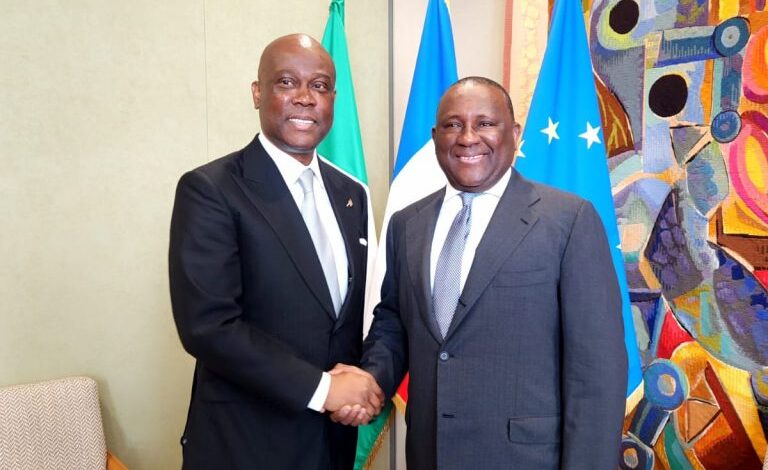 Wigwe takes over leadership of France-Nigeria business council after Abdul Rabiu’s 2-term tenure 1 IMG 20230510 WA0077 768x1024 1