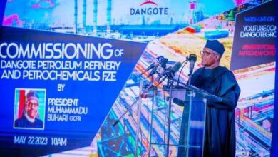 Aliko Dangote, the 'Foolish Man' and his mega refinery complex, By Bayo Onanuga 9 IMG 20230523 WA0003