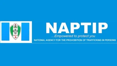 More women engage in trafficking, adoption crimes – NAPTIP 6 NAPTIP logo
