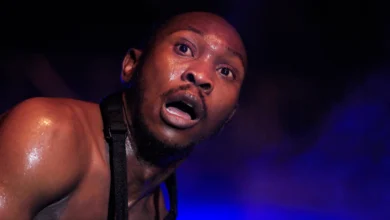 Seun Kuti and impunity of stardom, By Ebun-Olu Adegboruwa 1 Seun Kuti
