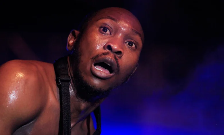 Seun Kuti and impunity of stardom, By Ebun-Olu Adegboruwa 1 Seun Kuti