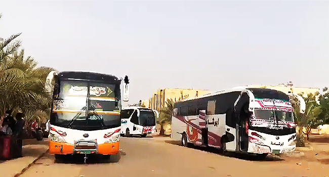 Sudan crisis: Aliko Dangote Foundation to assist FG in evacuation of stranded Nigerians 1 Sudan buses
