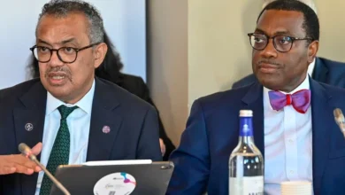 AfDB, European Investment Bank, WHO, others launch new investment platform to strengthen primary health care services 6 a1 adesina prst who