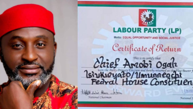 'Tinubu prepared to serve Nigeria,' LP rep-elect drums support for President 6 image 11