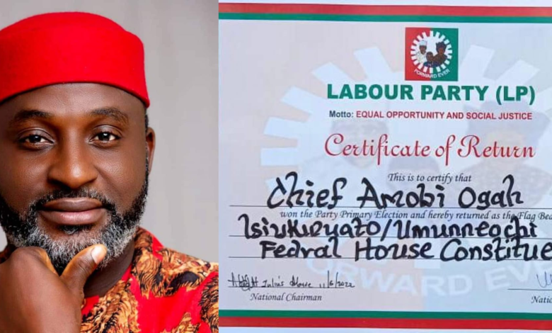 'Tinubu prepared to serve Nigeria,' LP rep-elect drums support for President 1 image 11