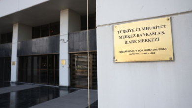 Ex-US bank executive Hafize Erkan named Turkey central bank boss 1 image 12